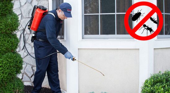 Çobanlar Gümüşkurt İlaçlama böcek ilaçlama ve haşere kontrolü — ilaclama-tr.com